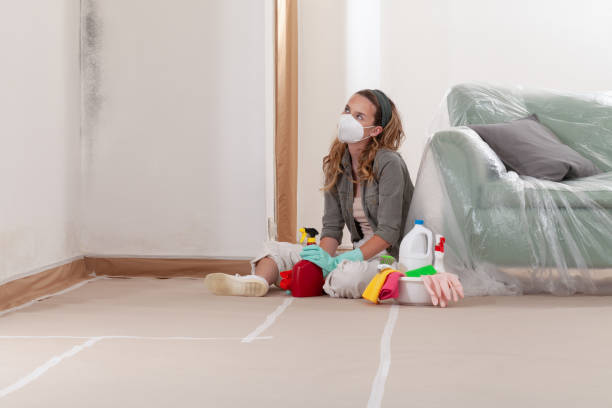 Reliable Mold Remediation contractor in Belleville, MI by Mold Remediation HQ